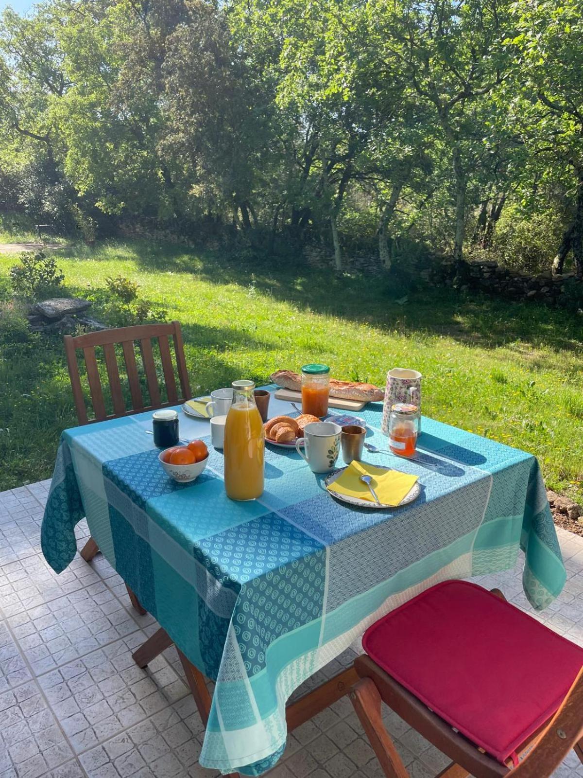 Les Marguerites Bed & Breakfast Вер Пон дю Гар Екстериор снимка